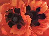 Famous Poppies Paintings - Oriental Poppies 1928